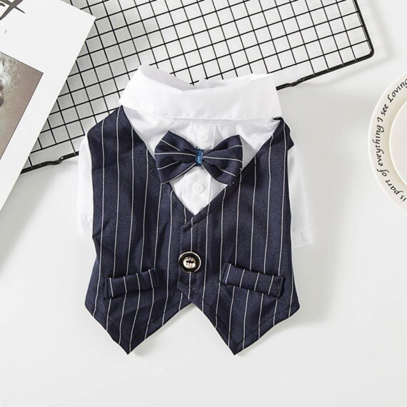 French Bulldog Tailcoat