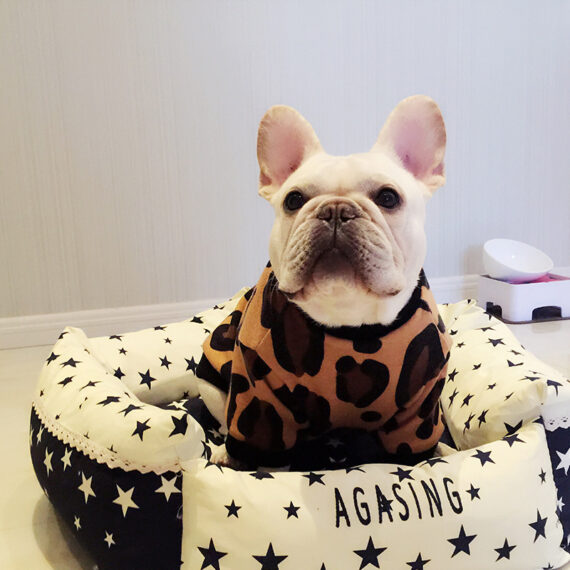Leopard Print French Bulldog Spring T-Shirt