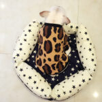 Leopard Print French Bulldog Spring T-Shirt