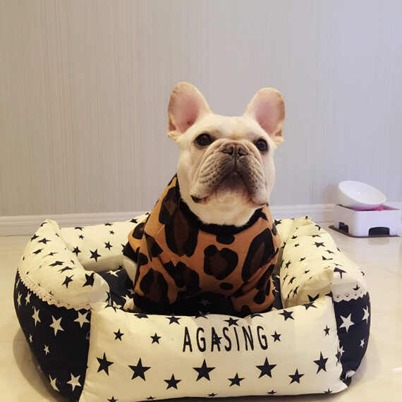 Leopard Print French Bulldog Spring T-Shirt