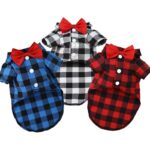 Plaid And Bowtie Frenchie Shirt