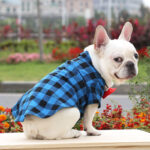 Plaid And Bowtie Frenchie Shirt