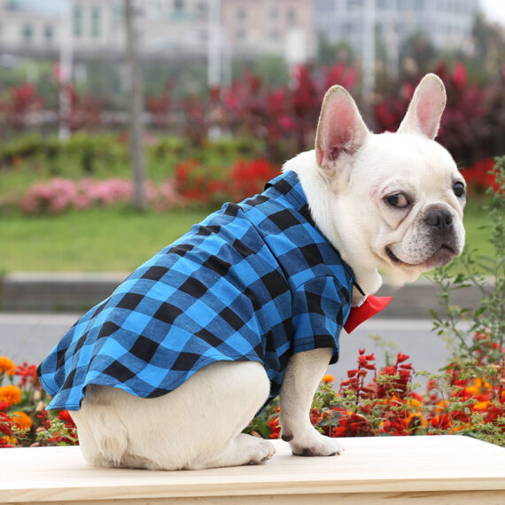 french bulldog dress shirt French Bulldog Hawaiian Shirts