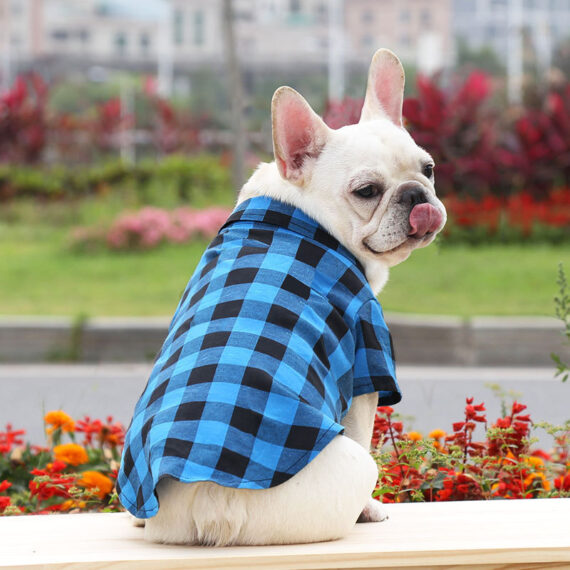 Plaid And Bowtie Frenchie Shirt