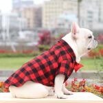 Plaid And Bowtie Frenchie Shirt