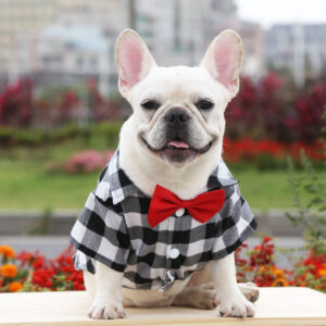 Plaid And Bowtie Frenchie Shirt by BATPIG Pet Supply New Photo-3