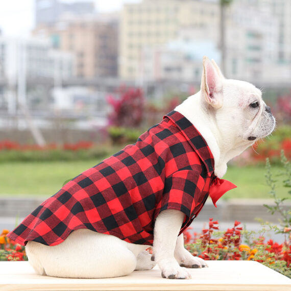 Plaid And Bowtie Frenchie Shirt
