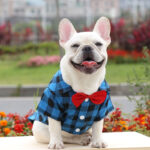 Plaid And Bowtie Frenchie Shirt