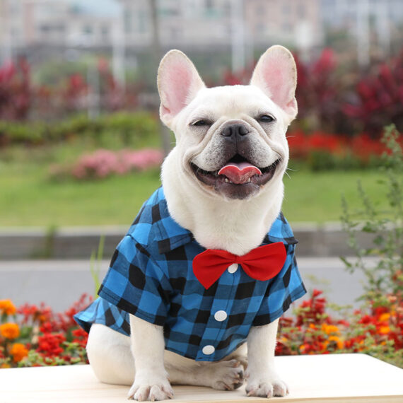 Plaid And Bowtie Frenchie Shirt