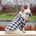 Plaid And Bowtie Frenchie Shirt