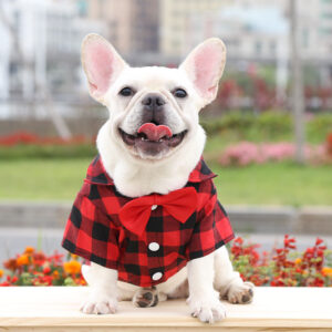 Plaid And Bowtie Frenchie Shirt