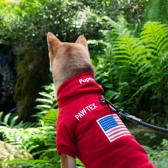 Pupreme American Flag Frenchie Hoodie