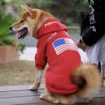 Pupreme American Flag Frenchie Hoodie