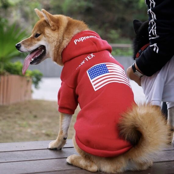 Pupreme American Flag Frenchie Hoodie