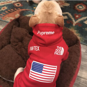 Pupreme American Flag Frenchie Hoodie by BATPIG Pet Supply-6