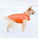 Reversible Windproof French Bulldog Vest