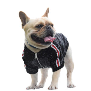 Shine And Shimmer French Bulldog Light Jacket