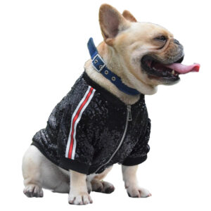 Shine And Shimmer French Bulldog Light Jacket by BATPIG Pet Supply New Photo