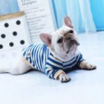 Striped Cotton Frenchie Sweatshirt