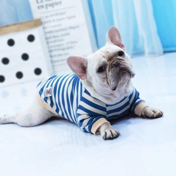 Striped Cotton Frenchie Sweatshirt