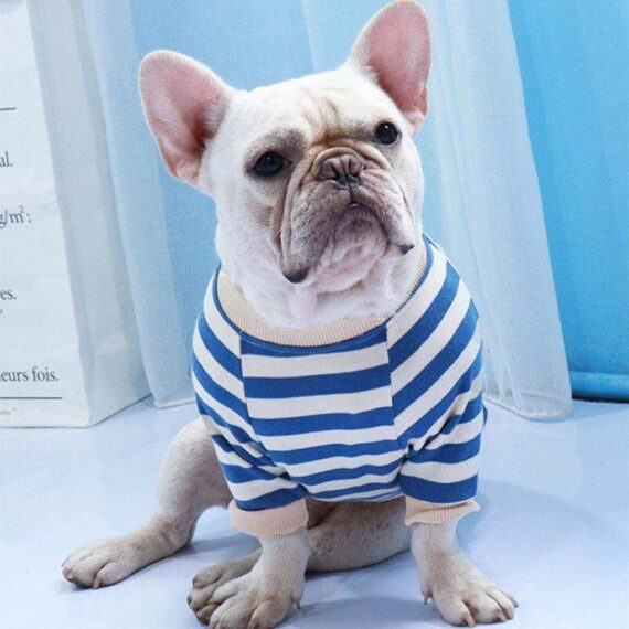 Striped Cotton Frenchie Sweatshirt