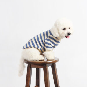 Striped Cotton Frenchie Sweatshirt New Photo-3