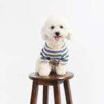 Striped Cotton Frenchie Sweatshirt