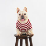 Striped Cotton Frenchie Sweatshirt