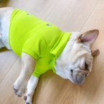 Summer French Bulldog Polo T-Shirts