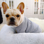 Summer French Bulldog Polo T-Shirts