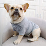 Summer French Bulldog Polo T-Shirts