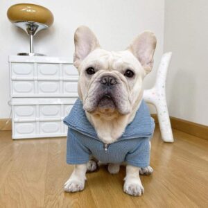 Basic French Bulldog Zip Up Sweater