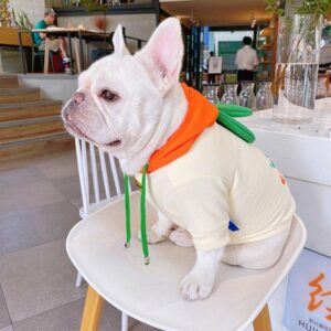 Carrot French Bulldog Hoodie