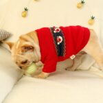 Santa Claus French Bulldog Christmas Sweater