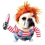 Chucky French Bulldog Costume