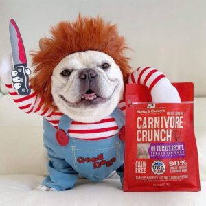 Chucky French Bulldog Costume