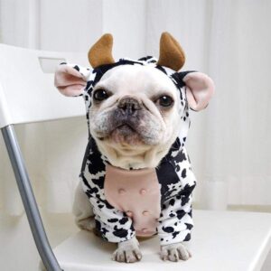 Cow French Bulldog Hoodie