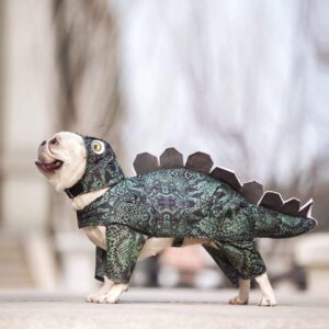 Dinosaur French Bulldog Jumpsuit