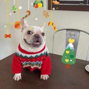 Festive Xmas French Bulldog Sweater