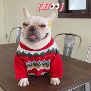 Festive Xmas French Bulldog Sweater