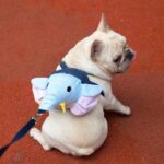 French Bulldog Elephant Backpack Harness