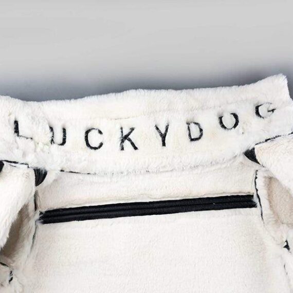 French Bulldog Biker Jacket
