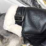 French Bulldog Biker Jacket