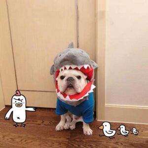 French Bulldog Dinosaur/Shark Headgear Costume