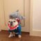 French Bulldog Shark Headgear Costume