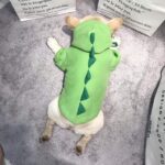 French Bulldog Fleece Dinosaur Hoodie