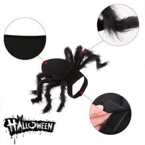 French Bulldog Hairy Spider Costume