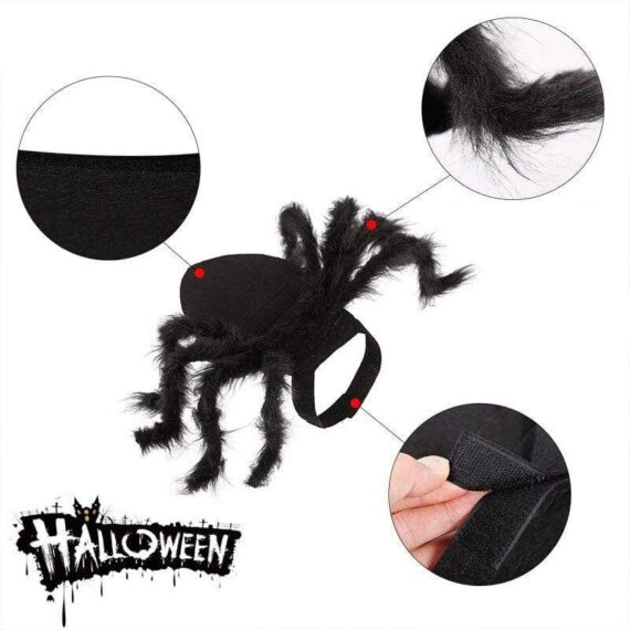 French Bulldog Hairy Spider Costume