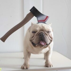 French Bulldog Halloween Headwear
