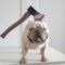 French Bulldog Halloween Headwear